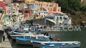 Video villaggio pescatori, isola di Procida, Napoli. Tipiche case colorate in stile Mediterraneo e barche da pesca nel porto. - MyVideoimage.com | Foto stock & Video footage