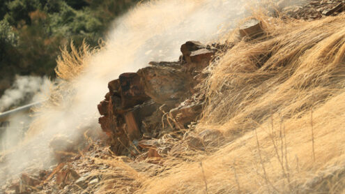 Volcanic fumaroles in the geothermal field. Jets of steam come out of the earth. Larderello, Tuscany. - MyVideoimage.com | Foto stock & Video footage