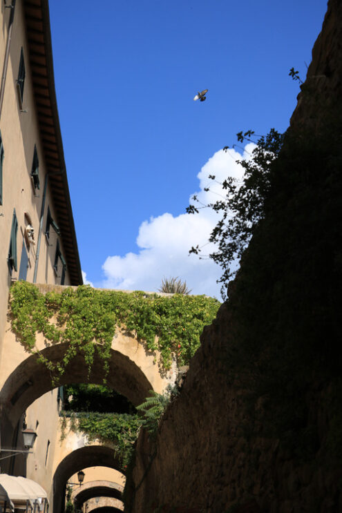 Walls with arches connected to the houses of Castiglione della Pescaia. An ancient village in the Tuscan Maremma built on a hill facing the sea. - MyVideoimage.com