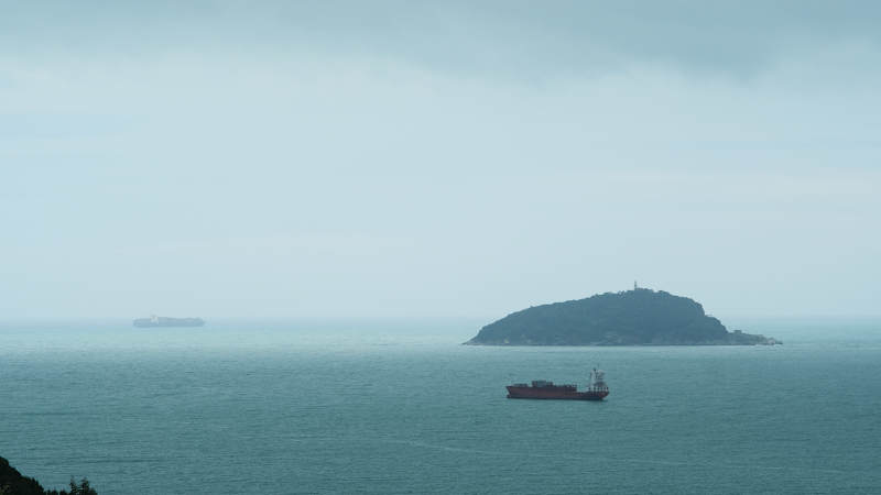 Webcam Cargo ship La Spezia and Portovenere