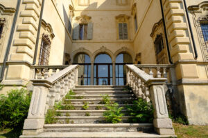 Weeds grow. Weeds grow on a staircase of a historic building. Stock photos. - MyVideoimage.com | Foto stock & Video footage