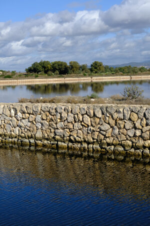 Wet area. Molentargius park with salt flats. Stock photos. - MyVideoimage.com | Foto stock & Video footage