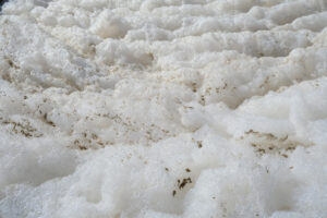 White foam. Pollution of a channel caused by surfactants. Stock photos. - MyVideoimage.com | Foto stock & Video footage