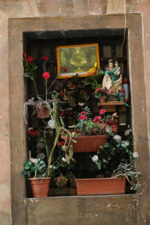 Window with flowers. Window with flowers and madonna. Stock photos. - MyVideoimage.com | Foto stock & Video footage