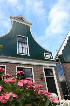 Wooden and brick house. Wooden and brick house in northern Europe. In the foreground garden with hydrangea with pink flowers. - MyVideoimage.com | Foto stock & Video footage