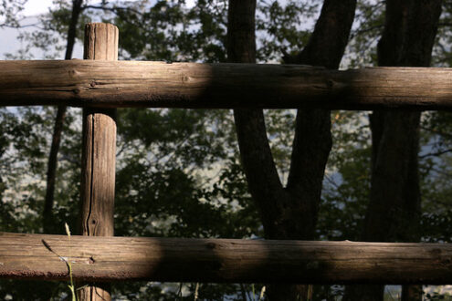 Wooden parapet. Wooden fence inside a wood.