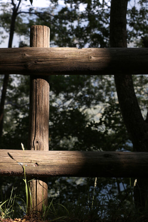 Parapetto in legno. Wooden fence inside a wood.