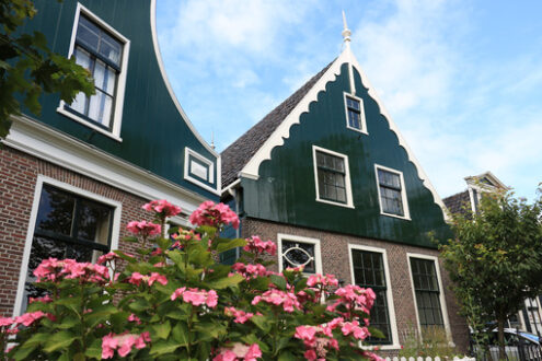 Wooden house. Wooden and brick house in northern Europe. In the foreground garden with hydrangea with pink flowers. - MyVideoimage.com | Foto stock & Video footage