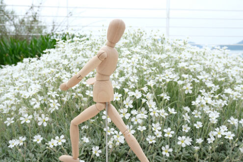 Wooden mannequin in the midst of spring flowers. Garden with cerastium with flowers and rotating model. - MyVideoimage.com | Foto stock & Video footage