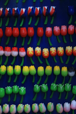 Wooden souvenirs of colorful tulip flowers in an Amsterdam market in the Netherlands. - MyVideoimage.com | Foto stock & Video footage