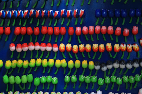 Wooden souvenirs of colorful tulip flowers in an Amsterdam market in the Netherlands. - MyVideoimage.com | Foto stock & Video footage