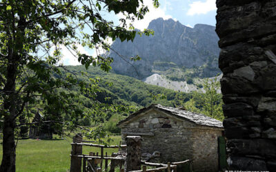 Covid holidays on pilgrimage on the paths of the Cinque Terre and the Apuan Alps